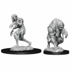 Annis Hag & Green Hag - 90266 - Pathfinder Battles Deep Cuts Unpainted Minis